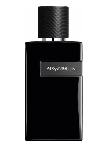 عطر ادکلن ایو سن لورن وای له پارفوم | Yves Saint Laurent Y Le Parfum | دوقلوهای مهاباد